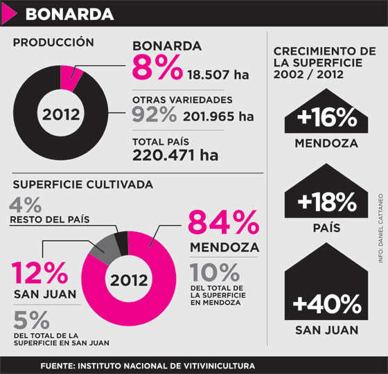 bonardaesp01